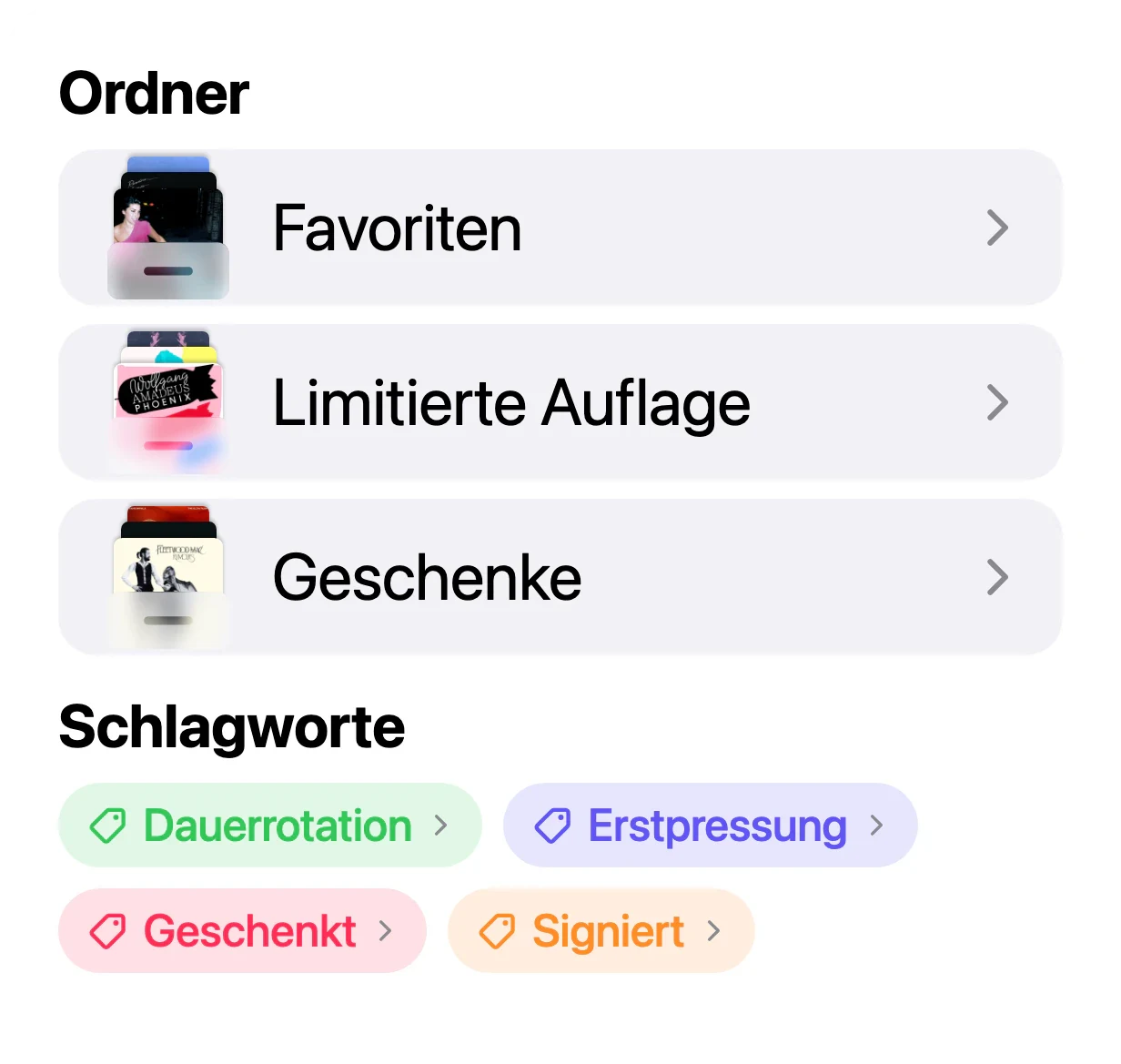 Eine Plattensammlung in VinylBox, geordnet mit Ordnern und Schlagworten